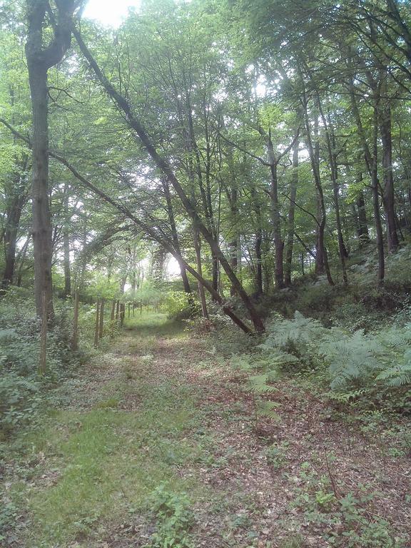 Les Gites De Castera แอร์-ซูร์-ลาดูร์ ภายนอก รูปภาพ
